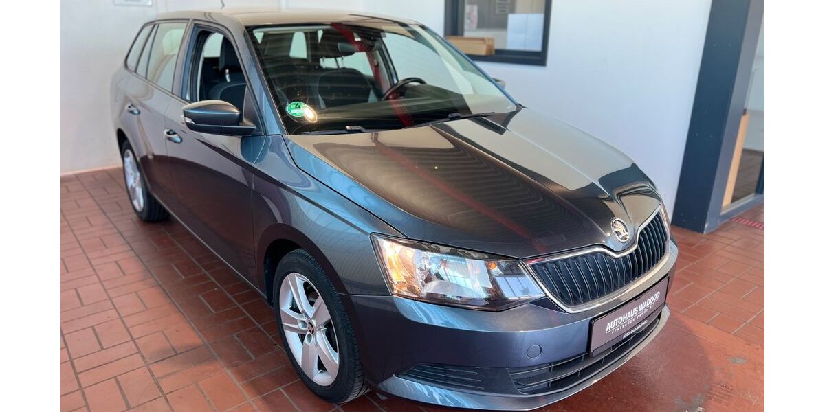 Skoda Fabia 141.062 km 4.900 &euro; Henstedt-Ulzburg (bei Hamburg) 24558