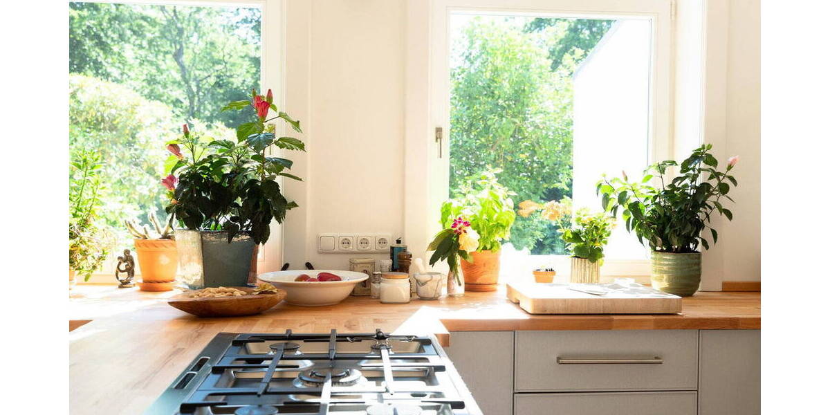 Mehrfamilienhaus, Wohnhaus Hamburg Winterhude - 7 Zimmer, 285 m&sup2;, 3.000.000&euro; | Angebot:26825796