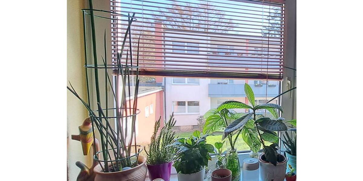 Etagenwohnung Bramfeld Bramfeld - 3 Zimmer, 71 m&sup2;, 288.000&euro; | Angebot:25926479