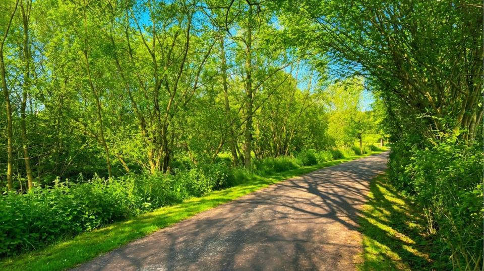 Etagenwohnung Hamburg Wandsbek - 3 Zimmer, 79 m&sup2;, 1.506&euro; | Angebot:26005679