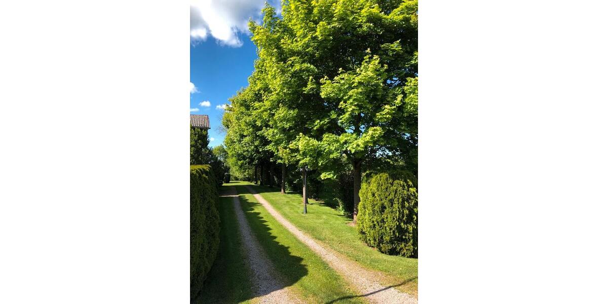 Einfamilienhaus Klein Offenseth-Sparrieshoop Sparrieshoop - 5 Zimmer, 280 m&sup2;, 444.000&euro; | Angebot:25812810