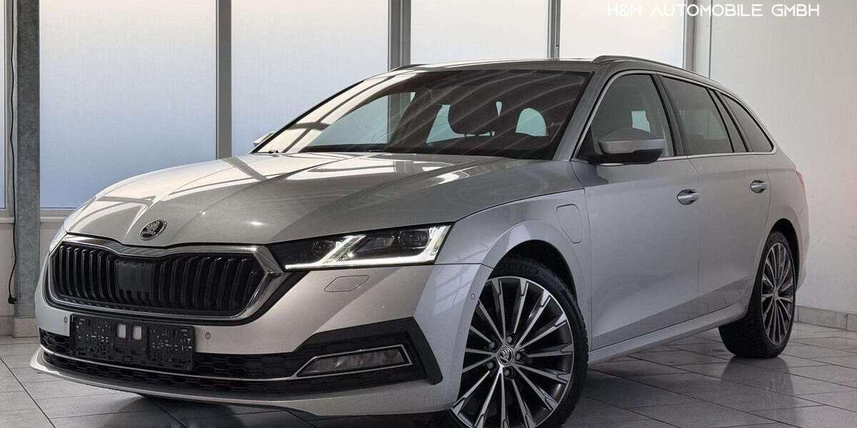 Skoda Octavia 174.356 km 16.990 &euro; Pinneberg 25421