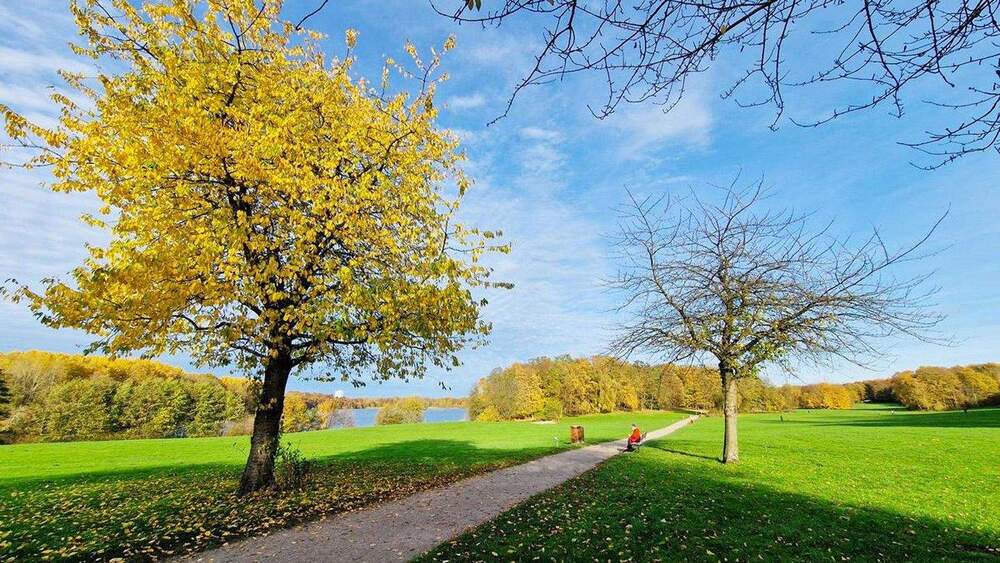 Doppelhaushälfte Hamburg Billstedt - 4 Zimmer, 126 m&sup2;, 799.000&euro; | Angebot:25720741