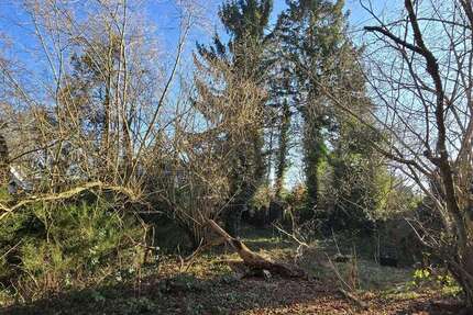 Grundstück Hamburg Wandsbek - 449.000&euro; | Angebot:25926776