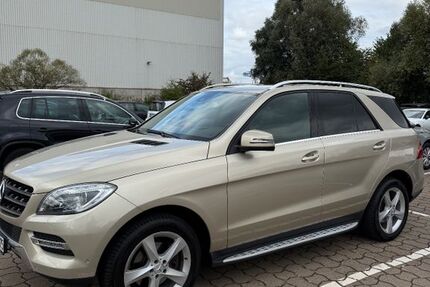 Mercedes-Benz ML 350 177.555 km 18.990 &euro; Hamburg 20537