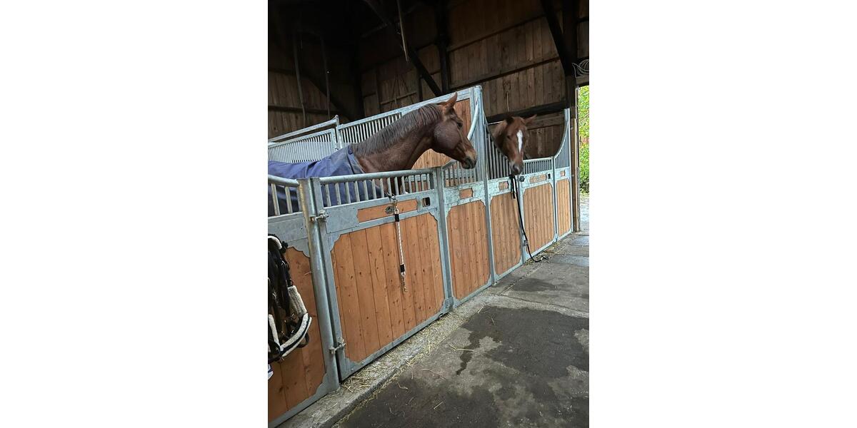 Hochparterre Jork - 5.5 Zimmer, 135 m&sup2;, 1.800&euro; | Angebot:25936098