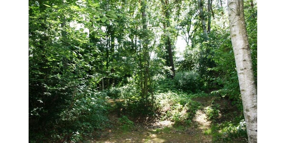 Einfamilienhaus Heist - 4 Zimmer, 120 m&sup2;, 590.000&euro; | Angebot:24651914