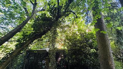 WOHNEN AM PARK - Grundstück Hamburg Farmsen-Berne Berne | Angebot:26055903