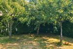 Einfamilienhaus Pinneberg - 4 Zimmer, 120 m&sup2;, 389.000&euro; | Angebot:26693725