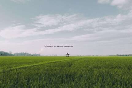 Haus Hamburg Wandsbek - 5 Zimmer, 220 m&sup2;, 899.900&euro; | Angebot:26071063