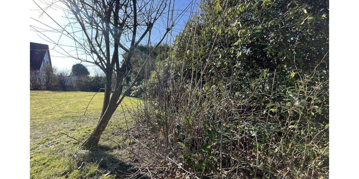 Einfamilienhaus Trittau - 5 Zimmer, 130 m&sup2;, 459.000&euro; | Angebot:25780245