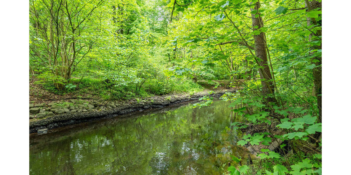 Grundstück Hamburg Hummelsbüttel - 2.600.000&euro; | Angebot:25773857