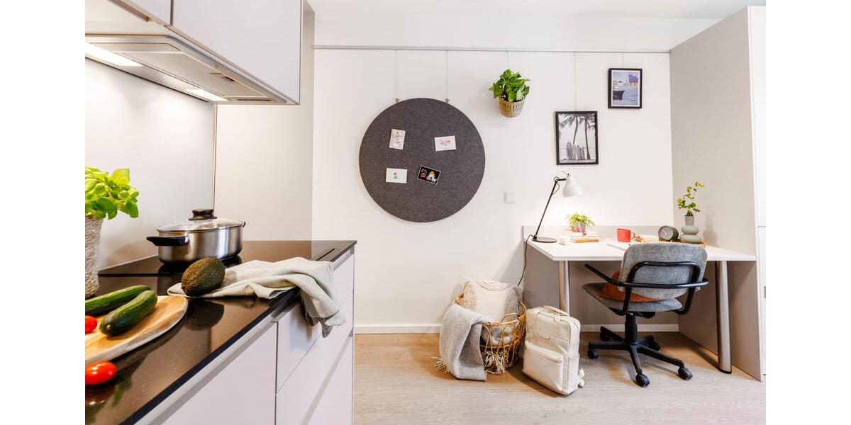 Etagenwohnung Hamburg Hamburg-Mitte - 1 Zimmer, 19 m&sup2;, 804&euro; | Angebot:24979141