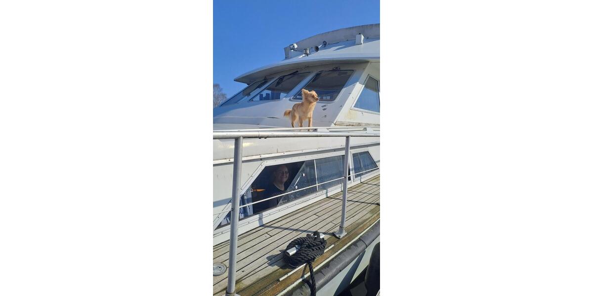 Etagenwohnung Hamburg Rotherbaum - 4 Zimmer, 50 m&sup2;, 67.900&euro; | Angebot:24753981