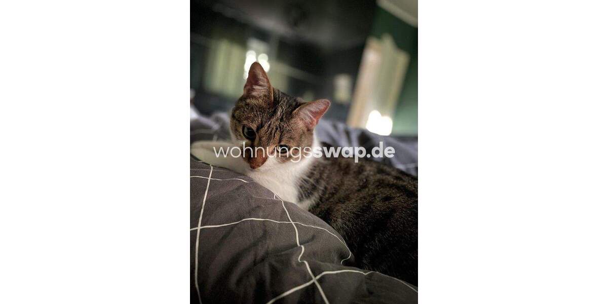 Etagenwohnung Hamburg Wilstorf - 2 Zimmer, 51 m&sup2;, 539&euro; | Angebot:25922504