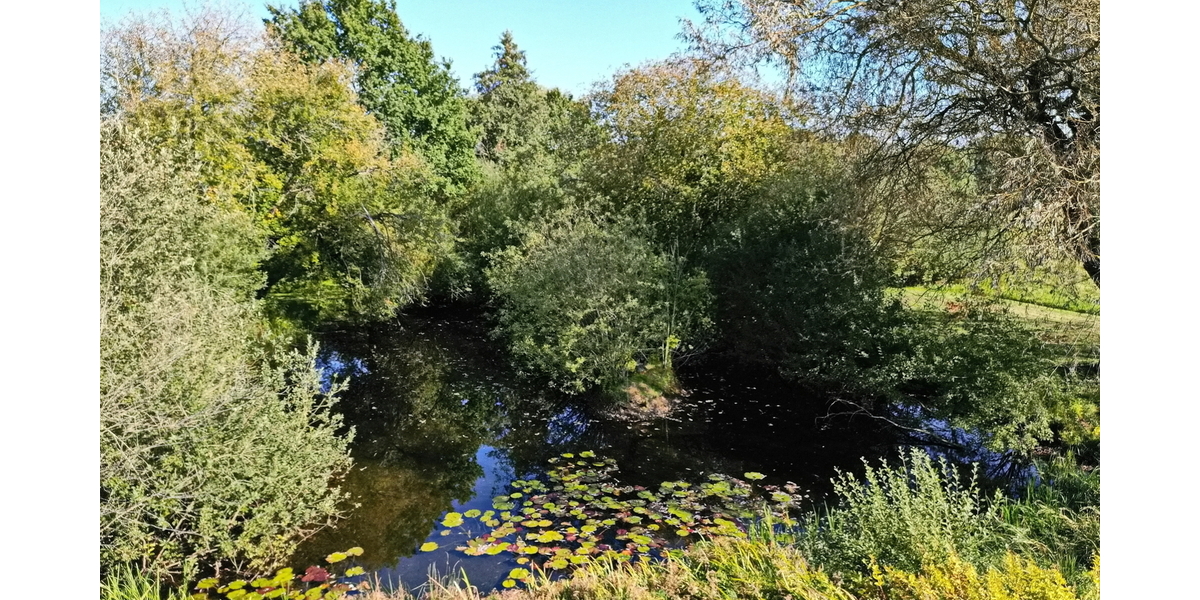 Wo Stille, Wasser und Weite aufeinandertreffen – Einzigartiges Anwesen auf 9.140 m²! - Einfamilienhaus Hitzhusen | Angebot:25365912