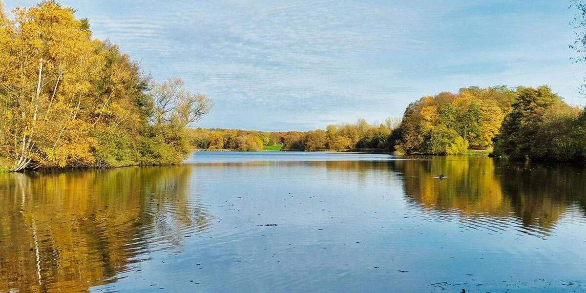 Doppelhaushälfte Hamburg Billstedt - 4 Zimmer, 126 m&sup2;, 799.000&euro; | Angebot:25720741