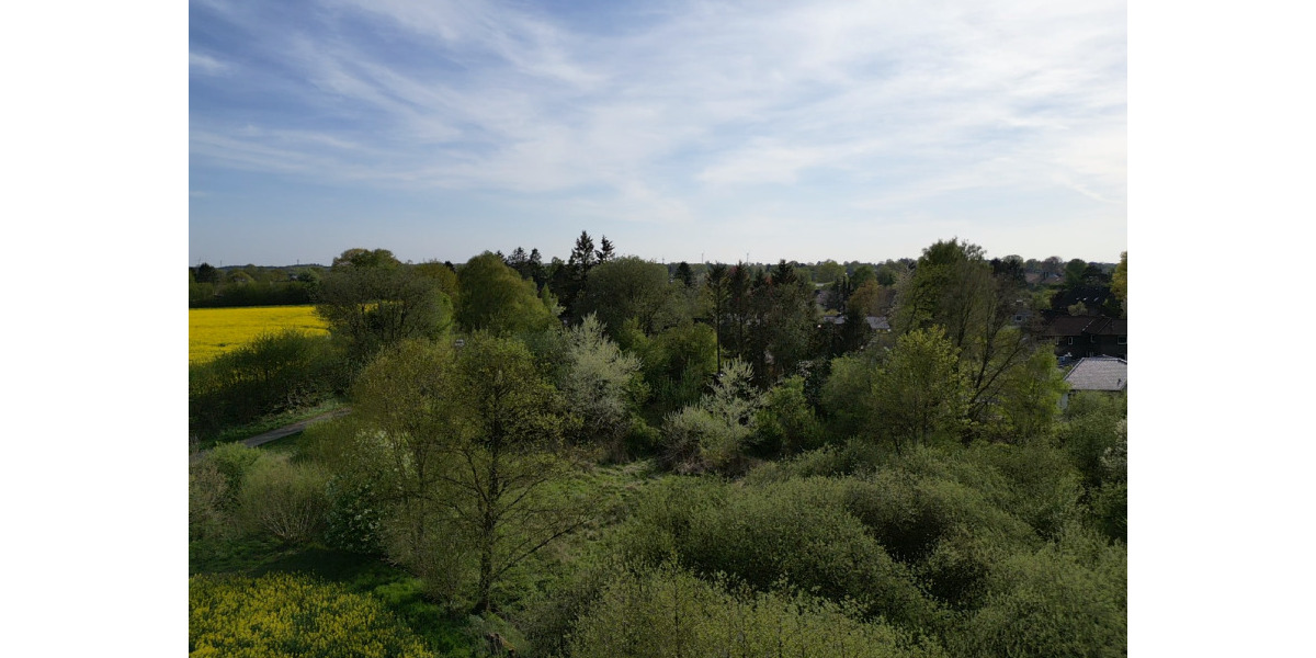 Grundstück Bebensee - 30.000&euro; | Angebot:25670820