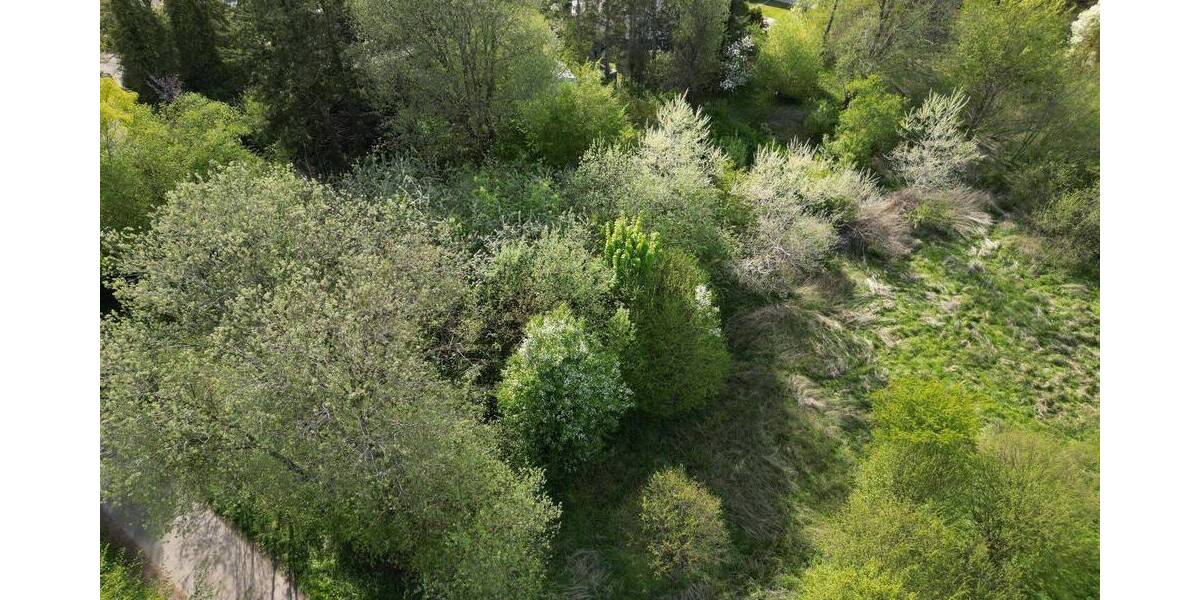 Grundstück Bebensee - 30.000&euro; | Angebot:25670820