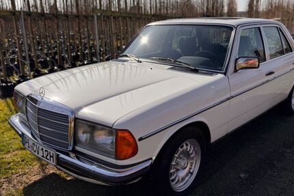 Mercedes-Benz 280 240.600 km 11.900 &euro; Rellingen 25462