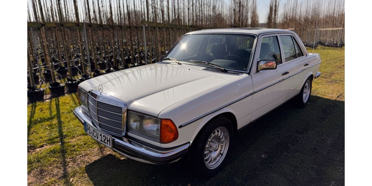 Mercedes-Benz 280 240.600 km 11.900 &euro; Rellingen 25462