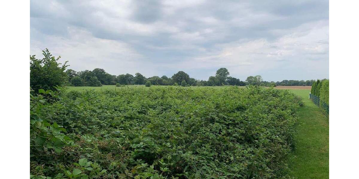 Grundstück Kaltenkirchen - 70.000&euro; | Angebot:25661219