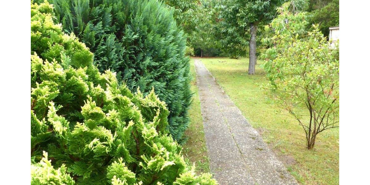 Einfamilienhaus Hamburg Volksdorf - 5 Zimmer, 151 m&sup2;, 1.320.000&euro; | Angebot:25801962