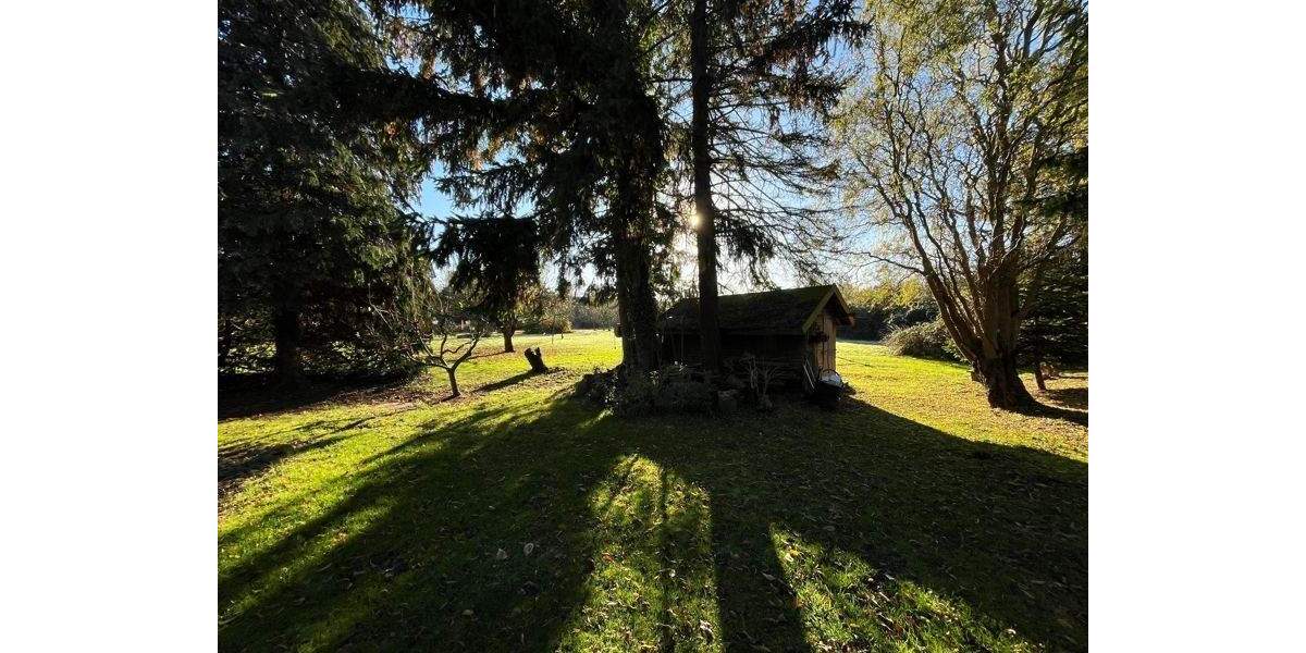 Einfamilienhaus Hamburg Billwerder Billwerder - 6 Zimmer, 148 m&sup2;, 440.000&euro; | Angebot:25780242