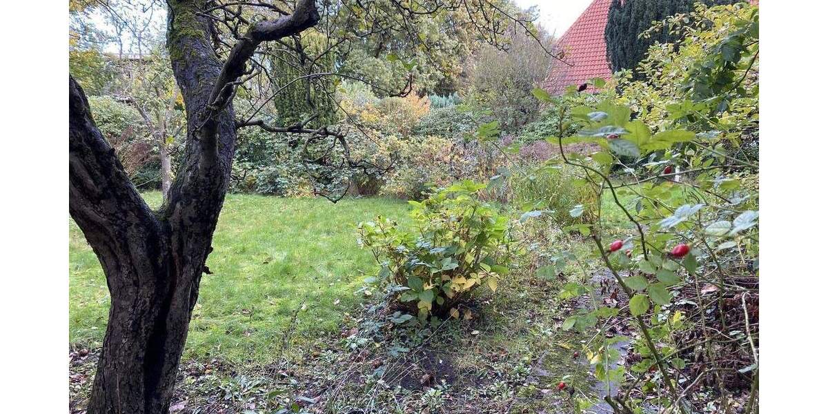 Grundstück Hamburg Lurup - 399.000&euro; | Angebot:25711115