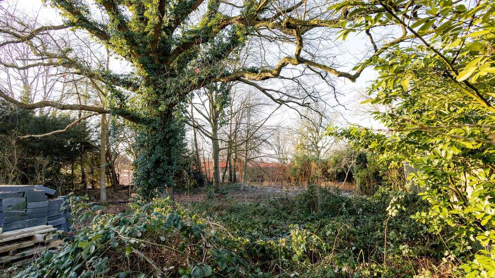 Grundstück Hamburg Wandsbek - 499.000&euro; | Angebot:24677306