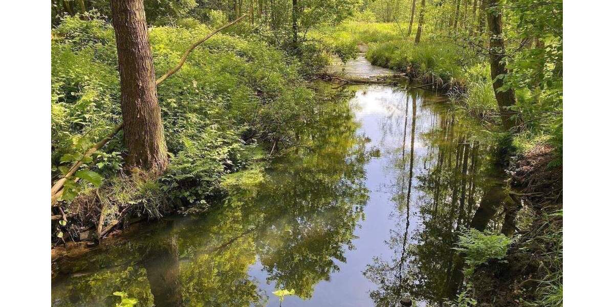 Doppelhaushälfte Henstedt-Ulzburg Ulzburg - 5 Zimmer, 133 m&sup2;, 614.900&euro; | Angebot:25744911