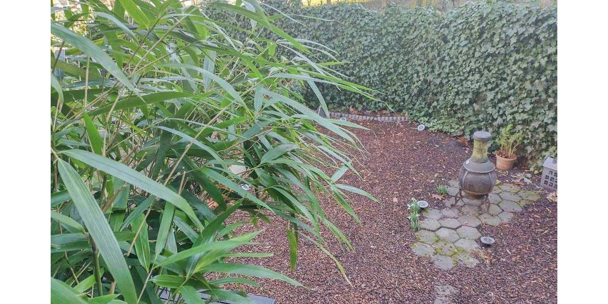 Einfamilienhaus Hamburg Barmbek-Nord - 2 Zimmer, 250.000&euro; | Angebot:25715303