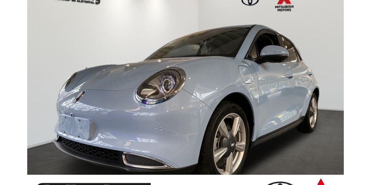 GWM Ora 03 2.301 km 22.980 &euro; Hamburg 22399