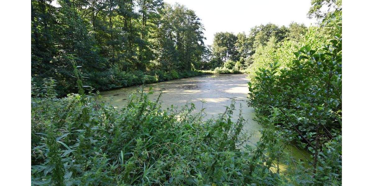 Grundstück Rausdorf - 129.000&euro; | Angebot:25726908