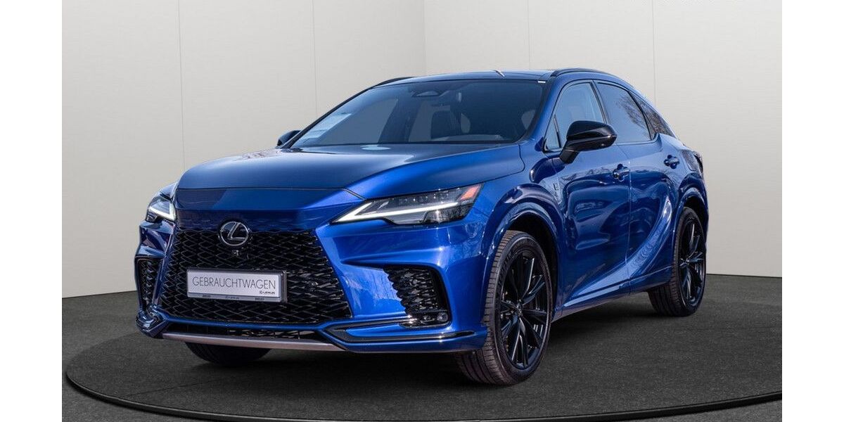 Lexus RX 500 31.191 km 68.990 &euro; Hamburg 22529
