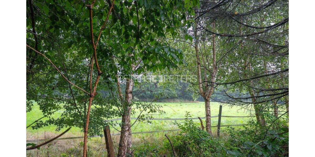 Mehrfamilienhaus, Wohnhaus Schenefeld - 5 Zimmer, 240 m&sup2;, 580.000&euro; | Angebot:25802008