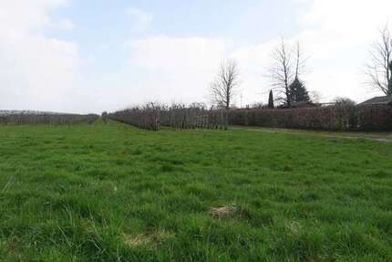 Grundstück Haselau - 240.000&euro; | Angebot:15130333