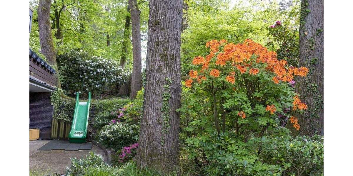 Einfamilienhaus Hamburg Neugraben-Fischbek - 6 Zimmer, 200 m&sup2;, 979.000&euro; | Angebot:25780310