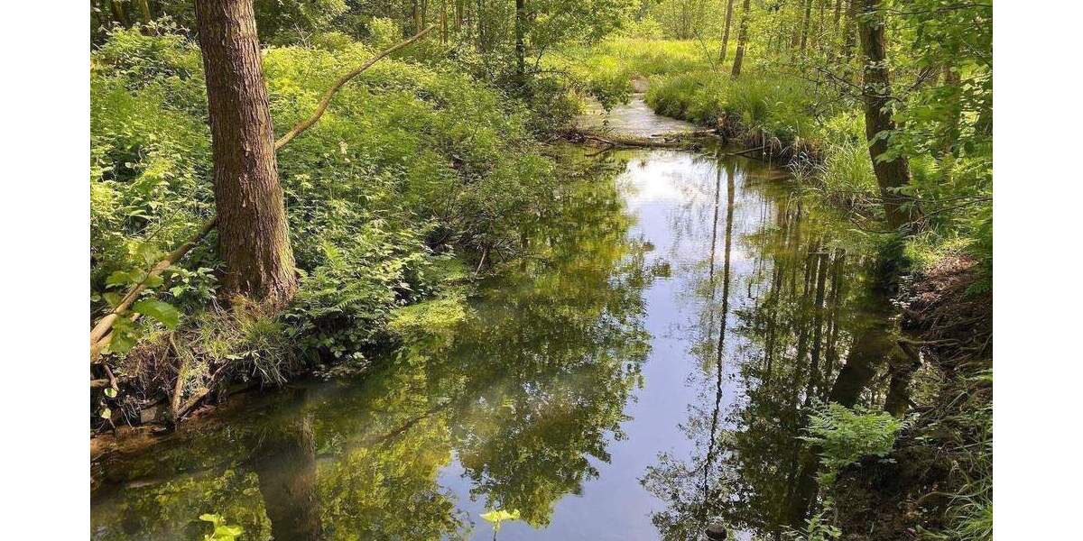 Reihenmittelhaus Henstedt-Ulzburg Ulzburg - 4 Zimmer, 103 m&sup2;, 499.900&euro; | Angebot:25744907