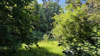 WOHNEN AM PARK - Grundstück Hamburg Farmsen-Berne Berne | Angebot:26055903