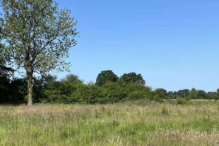 Grundstück Prisdorf - 600.000&euro; | Angebot:21142749