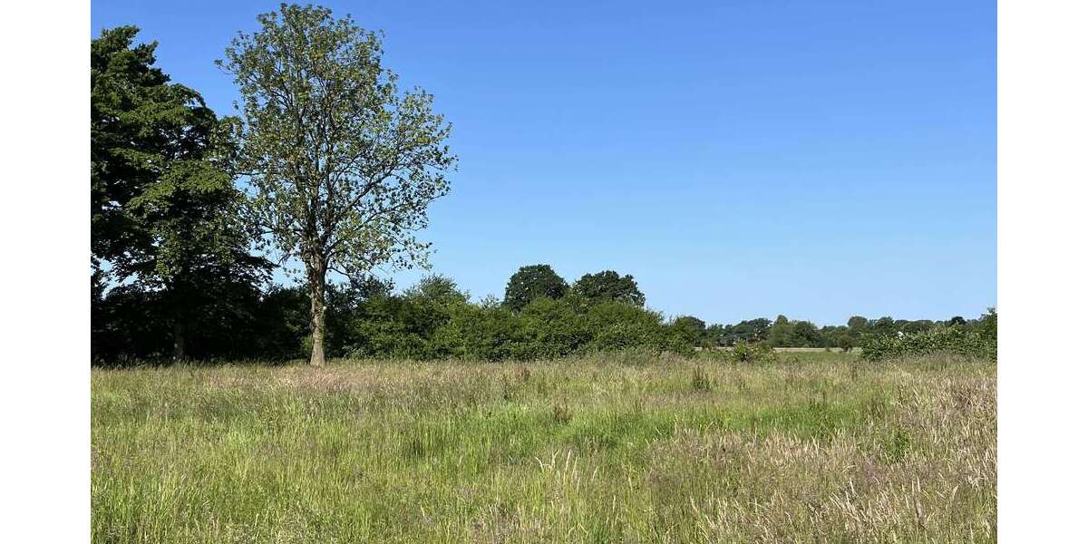 Grundstück Prisdorf - 600.000&euro; | Angebot:21142749