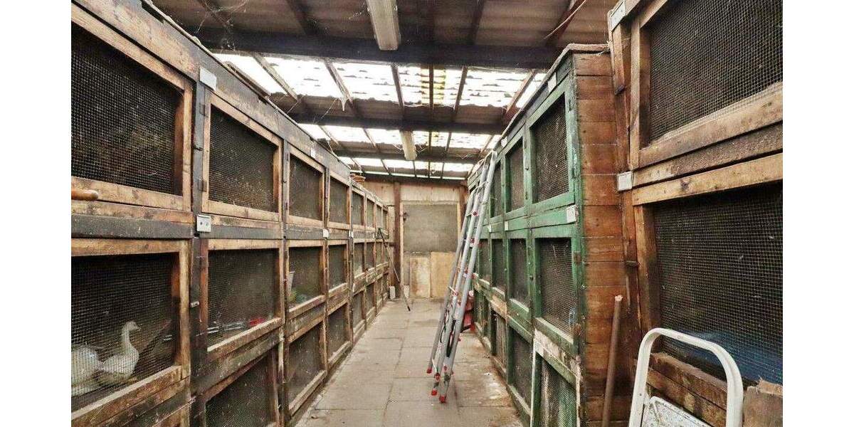 Einfamilienhaus Quickborn - 3 Zimmer, 94 m&sup2;, 469.000&euro; | Angebot:25880083