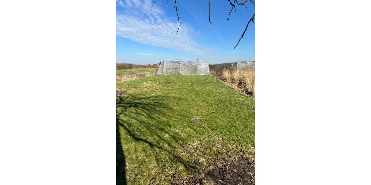 Mehrfamilienhaus, Wohnhaus Grünendeich - 7.5 Zimmer, 159 m&sup2;, 385.000&euro; | Angebot:25351771