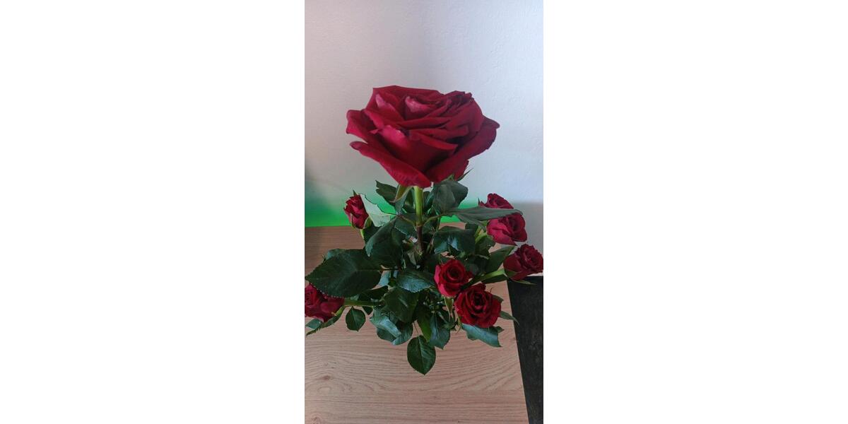 Grundstück Kaltenkirchen - 7.000&euro; | Angebot:25570270