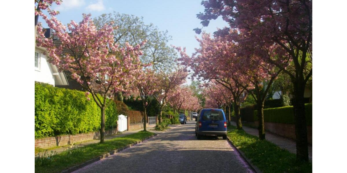 Dachgeschoßwohnung Hamburg Alsterdorf - 2 Zimmer, 48 m&sup2;, 889&euro; | Angebot:25967519