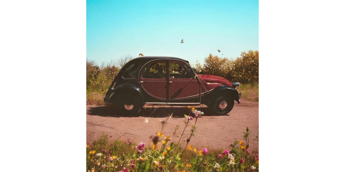 Citroen 2 CV 64.240 km 12.800 &euro; Tangstedt 22889