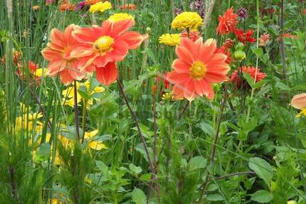 Grundstück Hamburg / Niendorf Niendorf - 589.000&euro; | Angebot:25702652