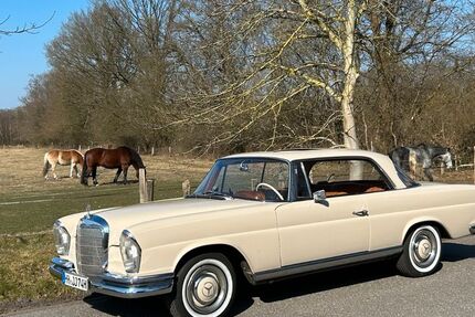 Mercedes-Benz 250 250.000 km 66.000 &euro; Hamburg 22399