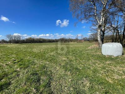 GROßE FLÄCHE MIT VIELSEITIGER NUTZUNG - Grundstück Oststeinbek | Angebot:27190523